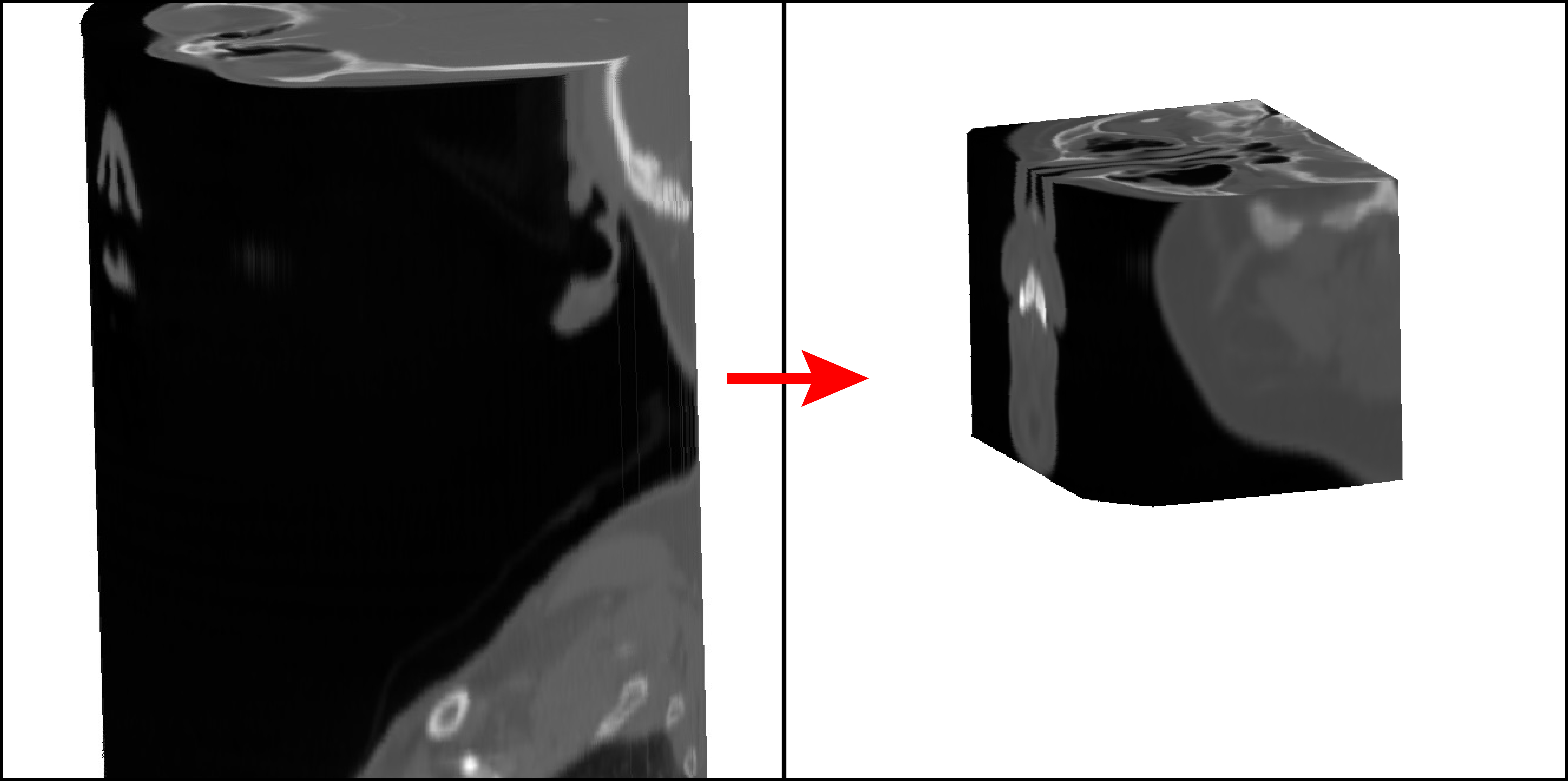 _images/Cropped3D.jpg